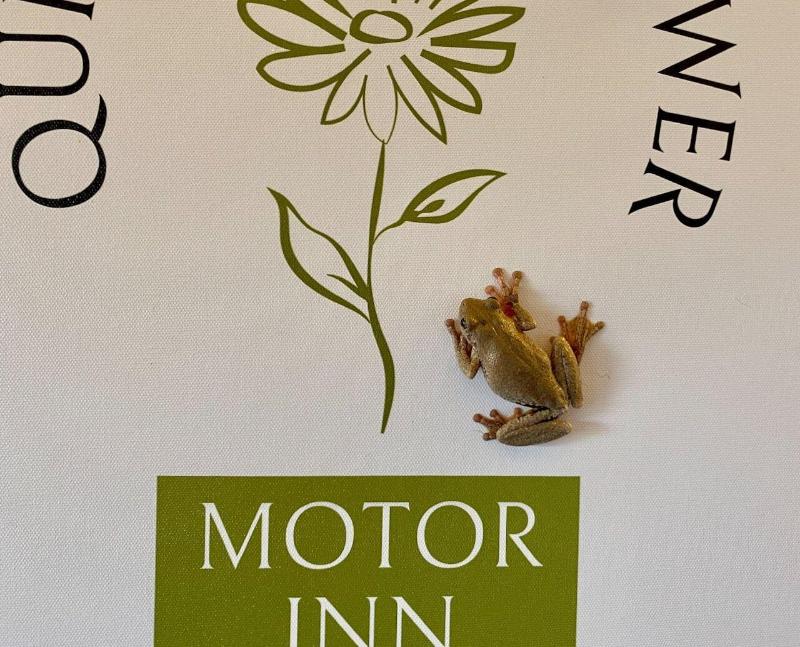 Quirindi Sunflower Motor Inn image