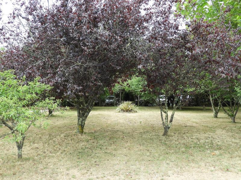 Somerset Caravan Park