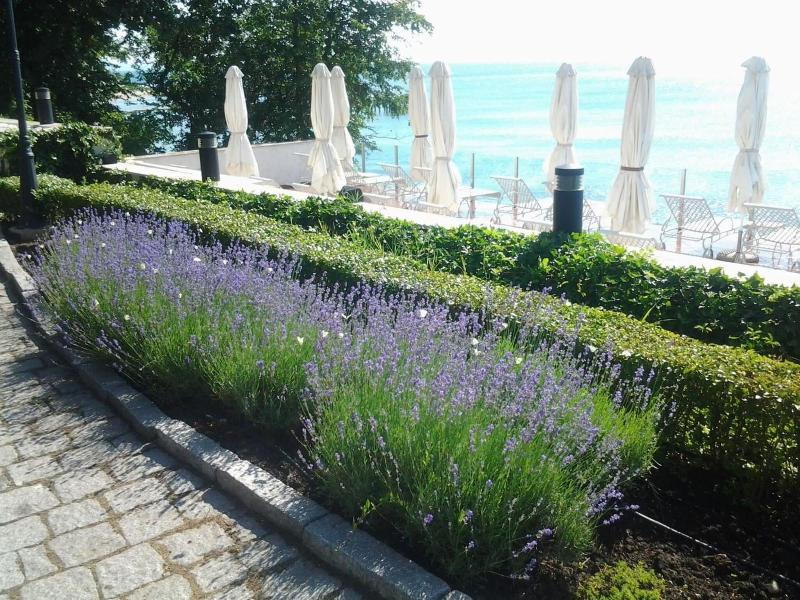 Oasis Boutique Hotel 3