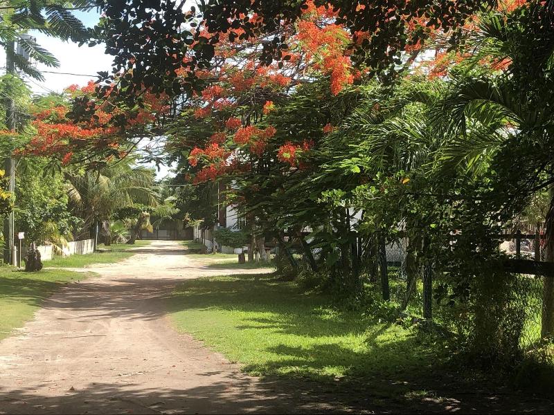 Belize Budget Suites image