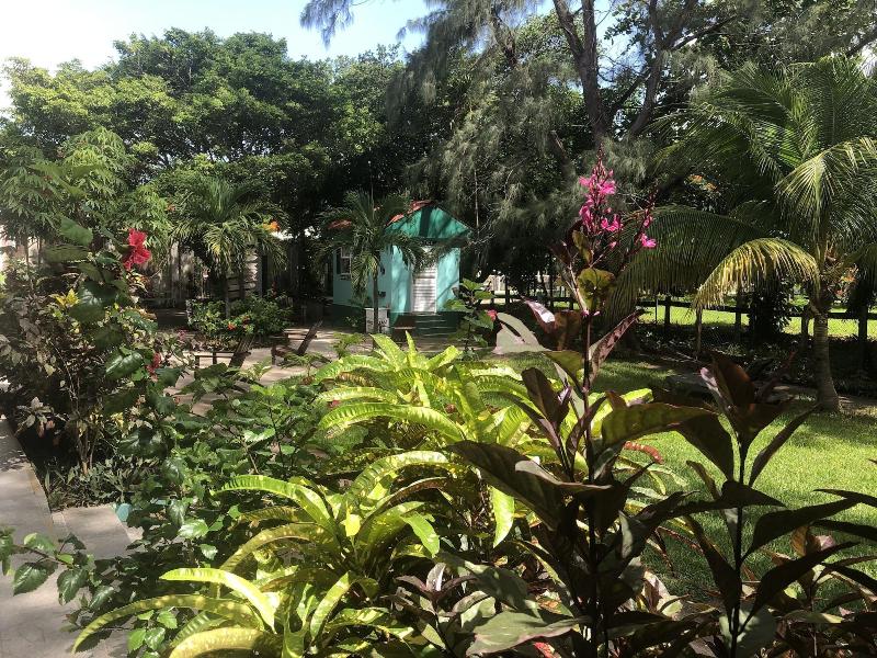 Belize Budget Suites image