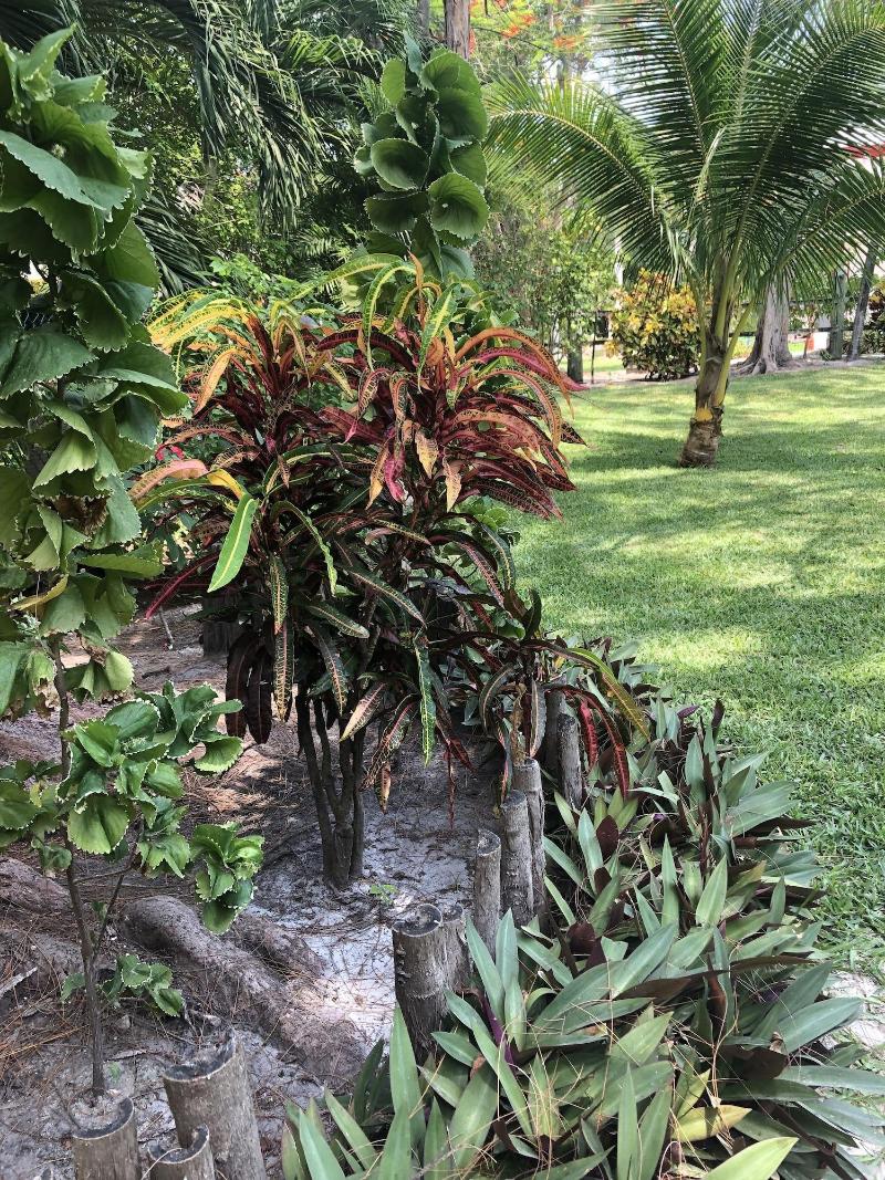 Belize Budget Suites image
