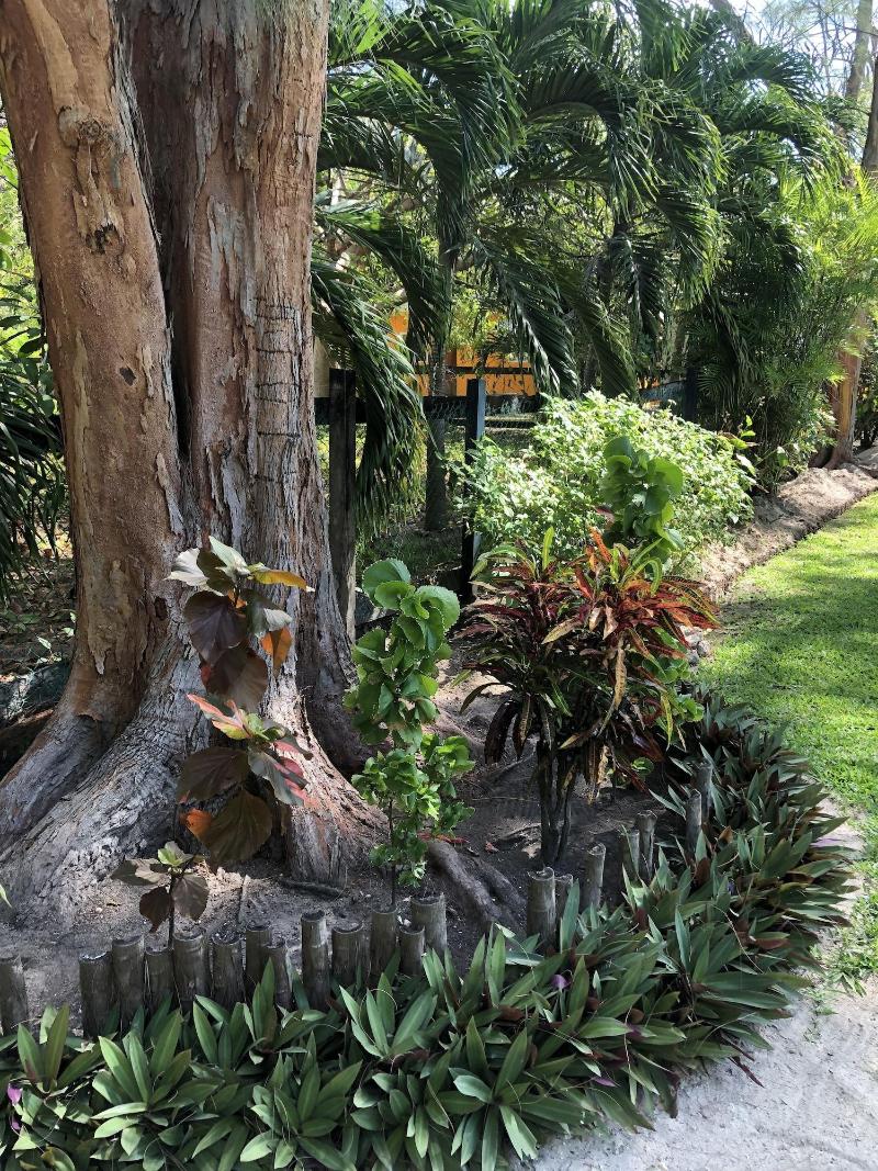 Belize Budget Suites image