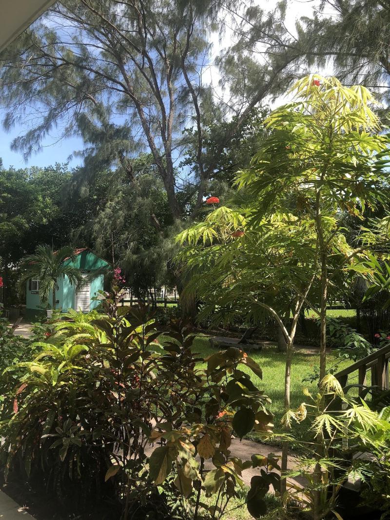 Belize Budget Suites image