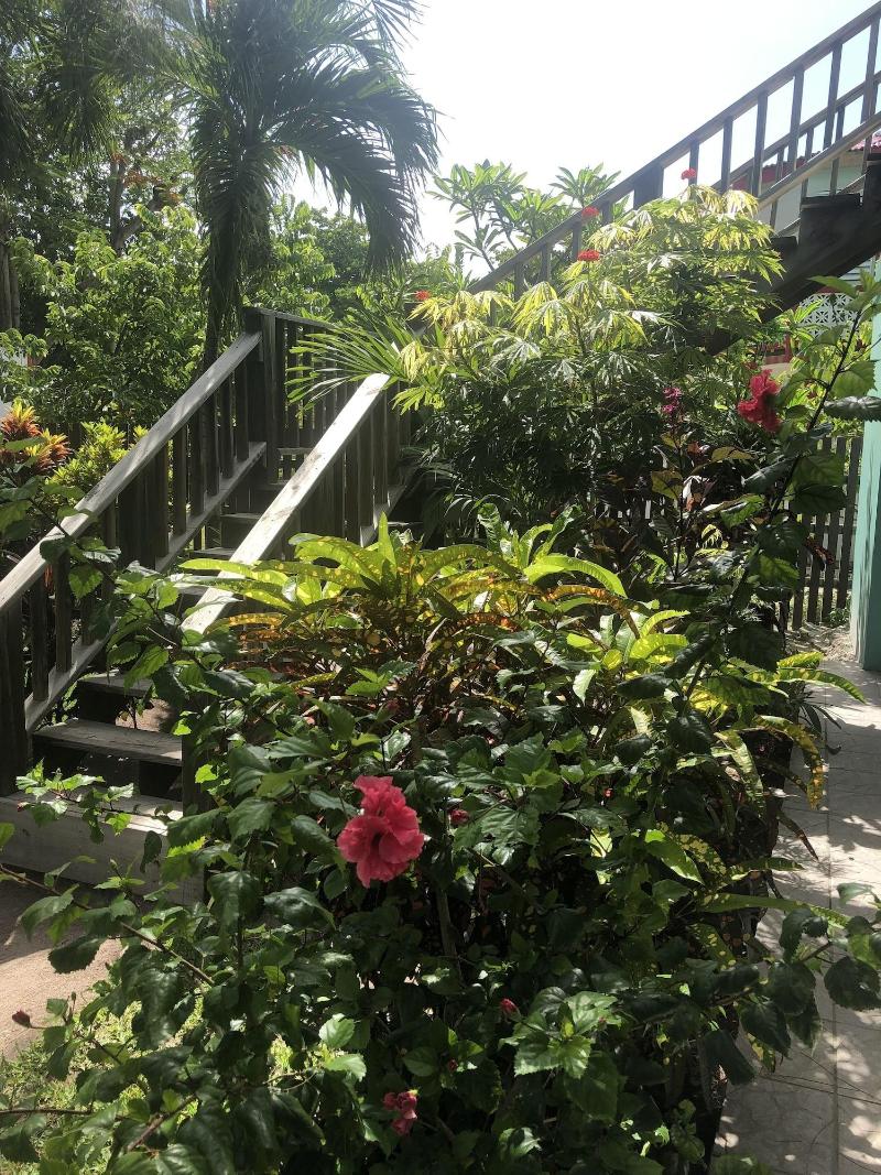 Belize Budget Suites image