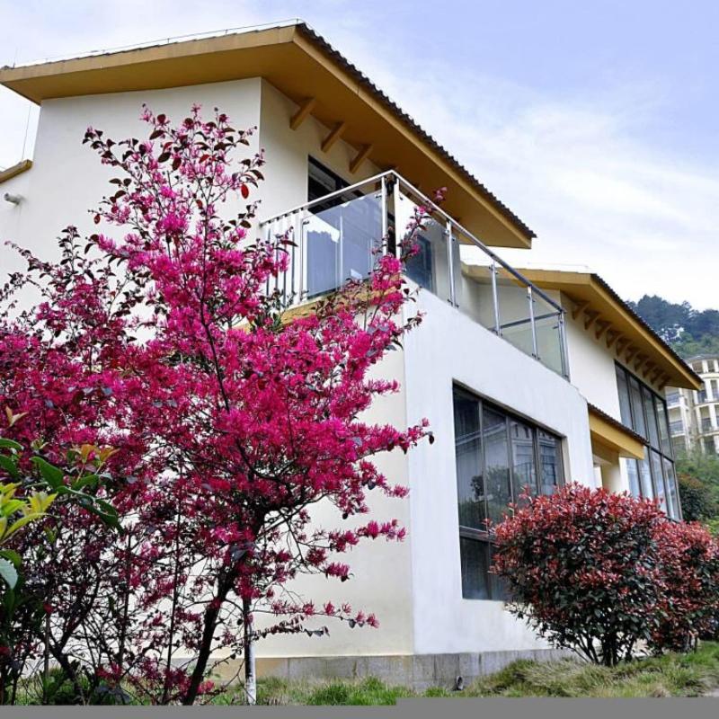 Palace International Hot Spring Hotel — general view