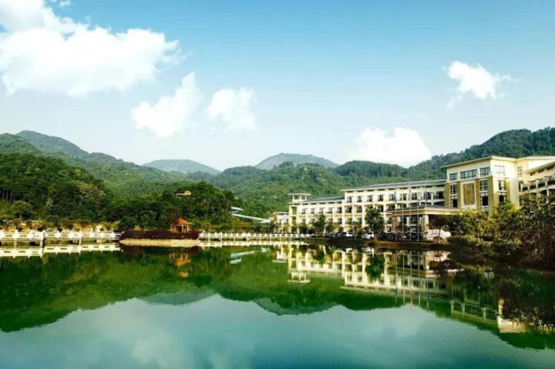 Palace International Hot Spring Hotel — general view