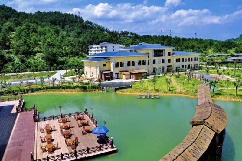 Palace International Hot Spring Hotel