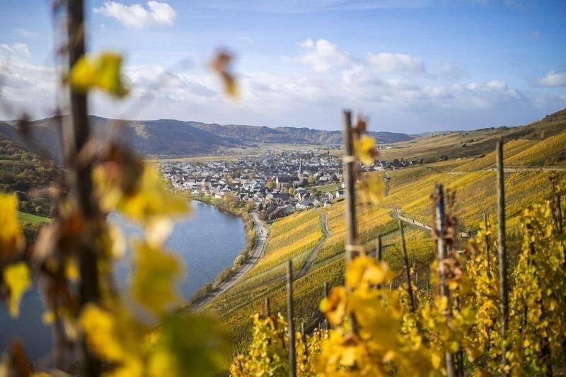 Rieslingquartier - Mosel Wein Hotel image