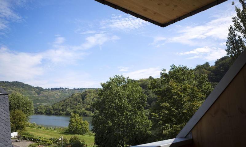 Rieslingquartier - Mosel Wein Hotel image