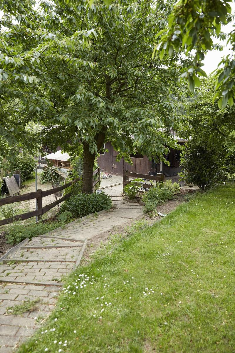 Reiterhof Zwei Linden image