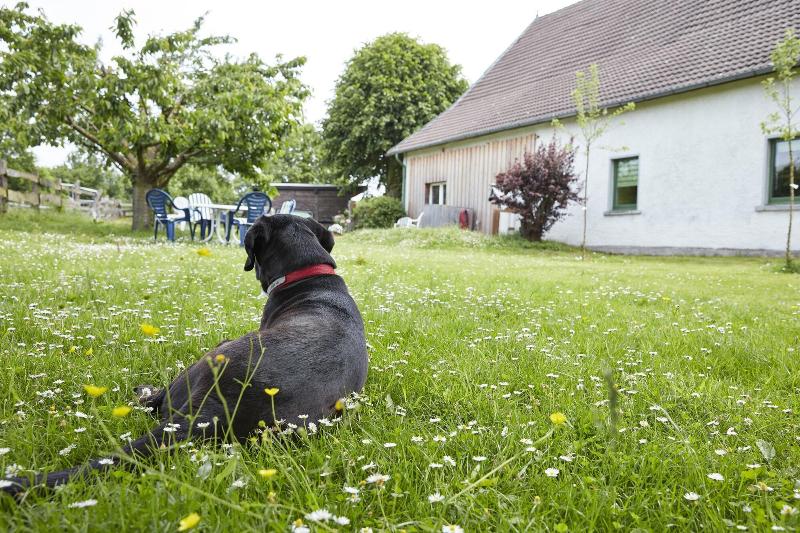 Reiterhof Zwei Linden image