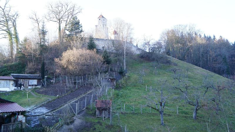Landgasthof Falken — general view