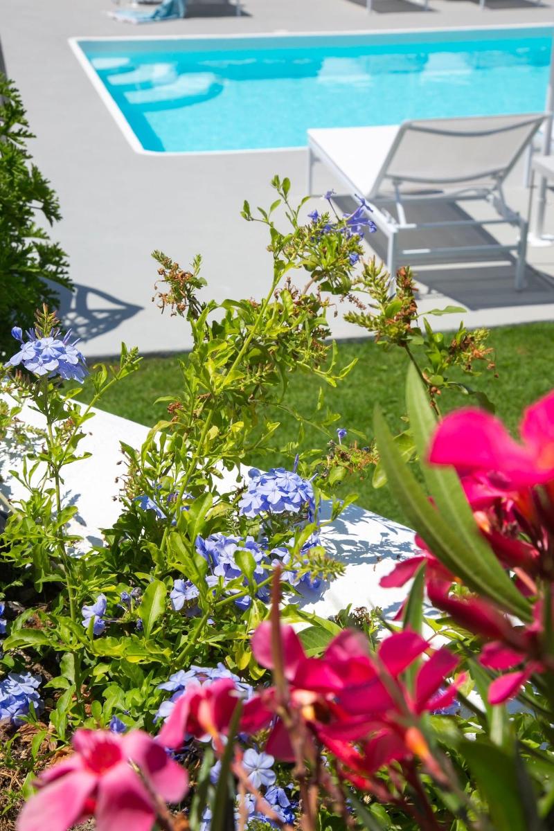 Apanomeria Boutique Residence — photo 7