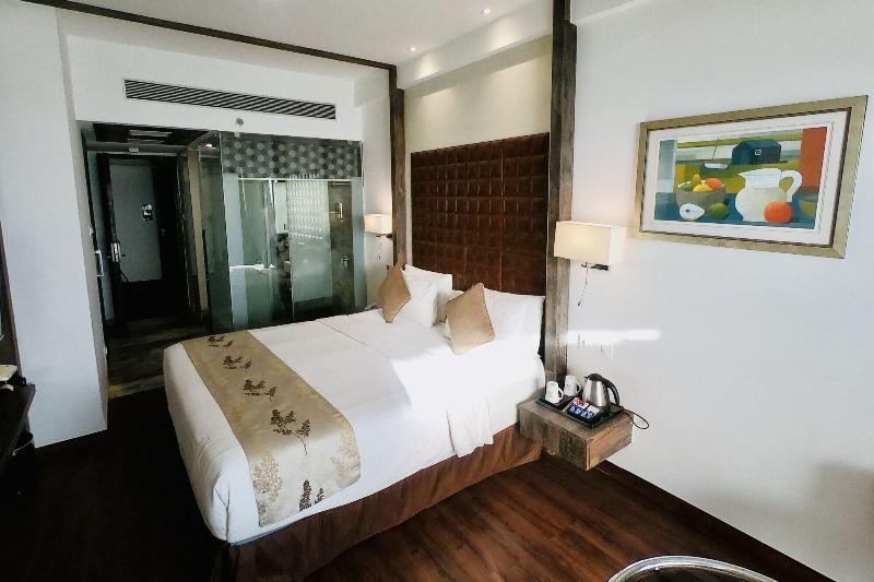 Regenta Central Hotel & Convention Nagpur image