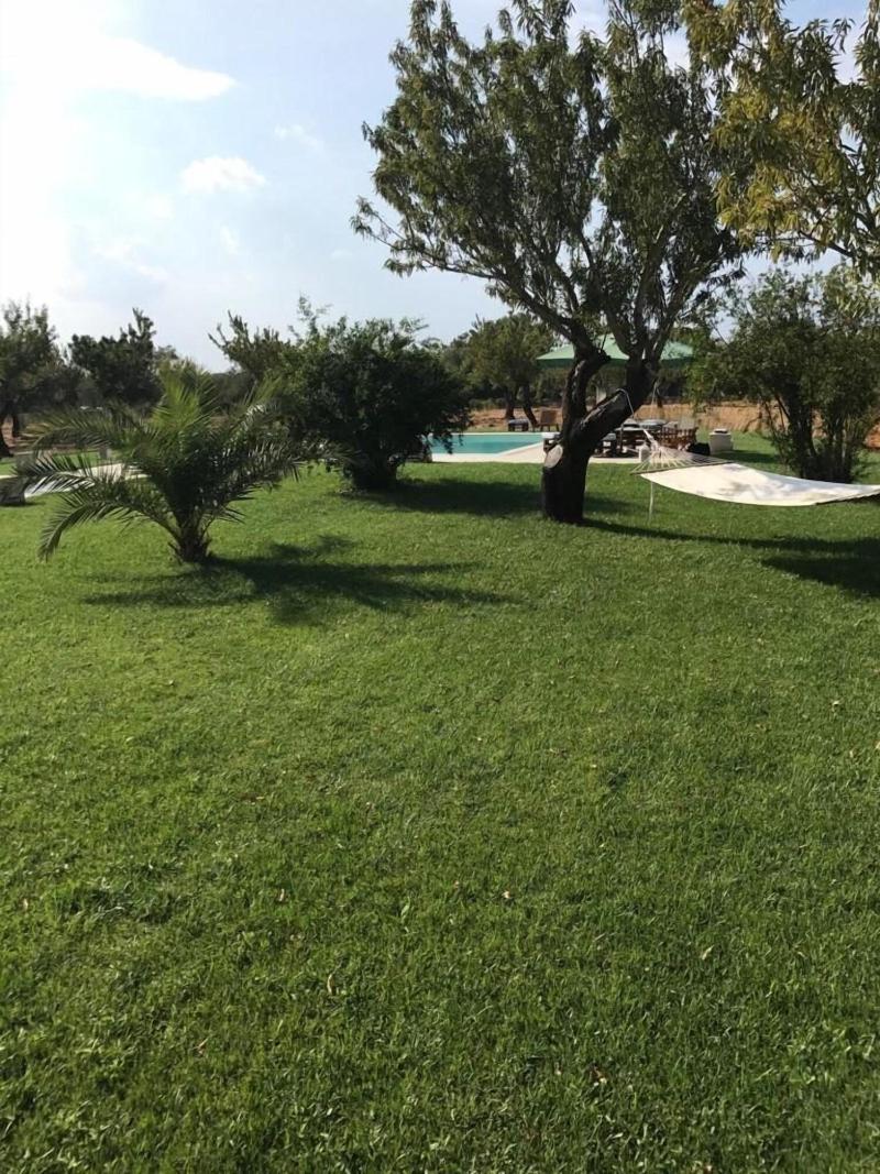Casa del Grifone image