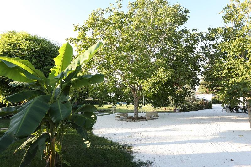 Podere 43 image