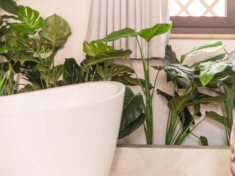 Diodorus Luxury Experience image