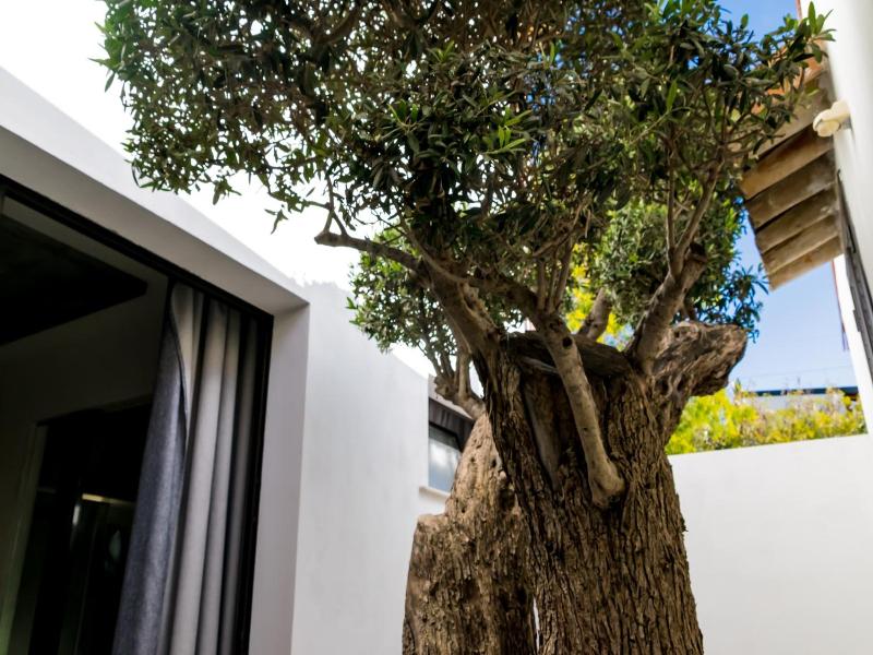 Diodorus Luxury Experience image