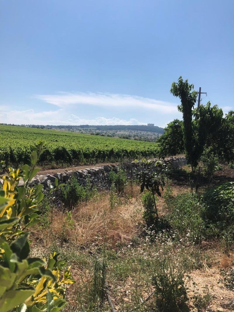 Ai Pilieri di Bagnoli image