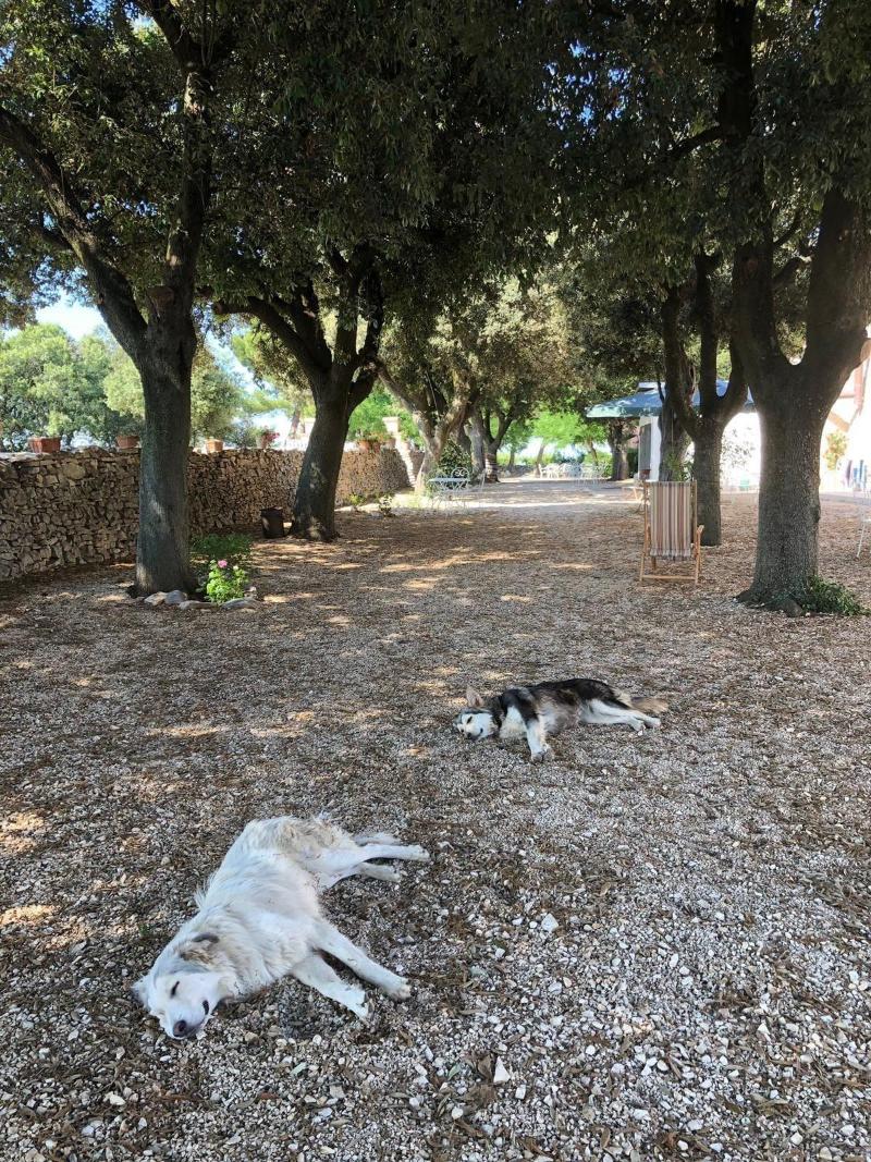 Ai Pilieri di Bagnoli image