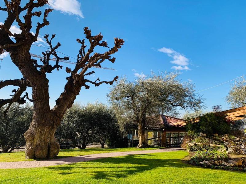 Agriturismo Le Tese image