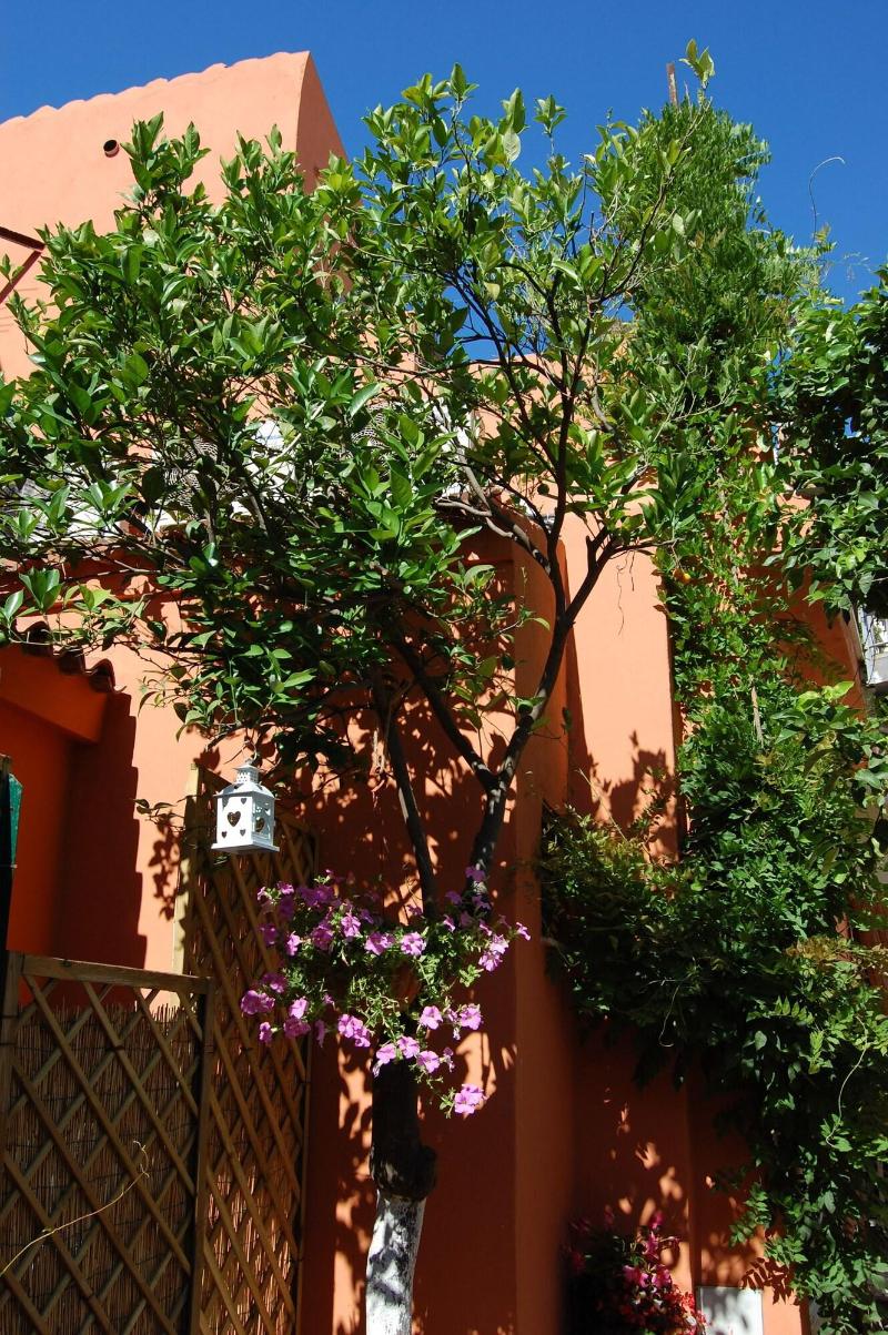 Casa Satta 1925 image