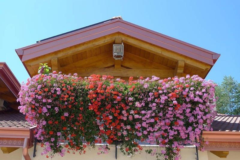 Agritur Vista Lago image