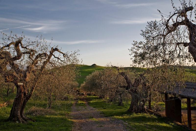 Podere Spedalone image