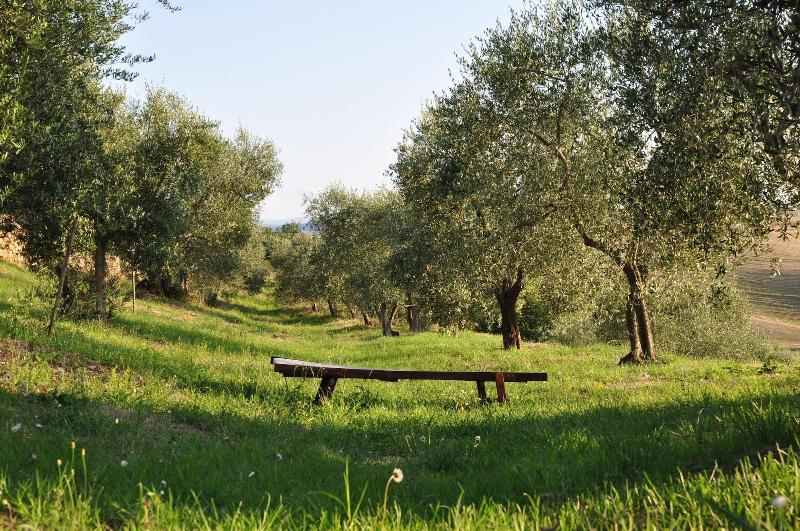 Podere Spedalone image