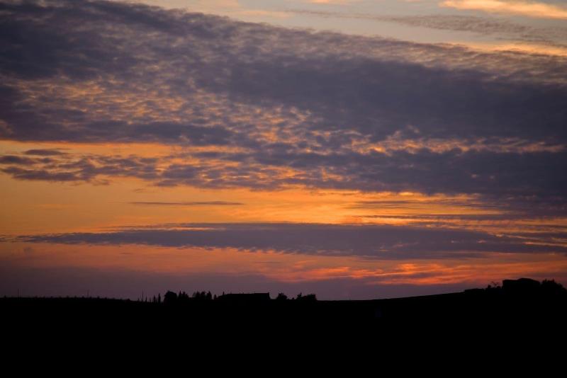 Podere Spedalone image