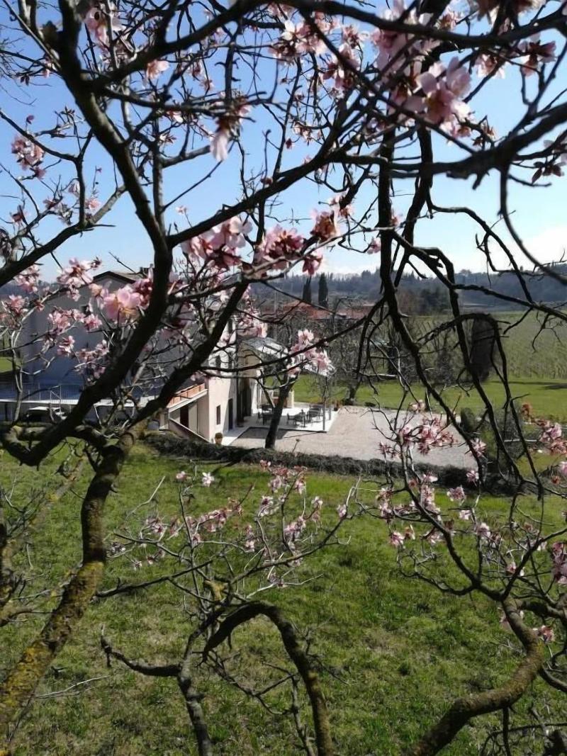 Agriturismo B&B Le Coste — photo 2