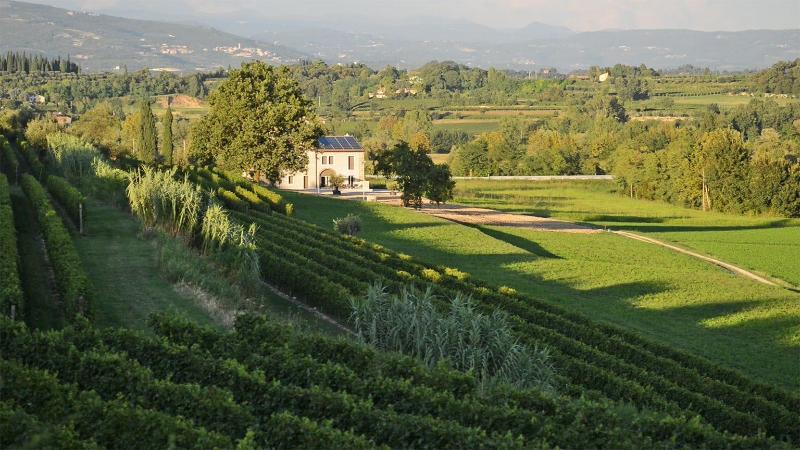 Agriturismo B&B Le Coste — photo 4