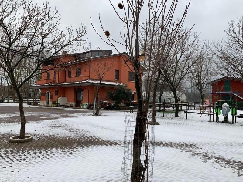 Azienda Agrituristica Pericle image