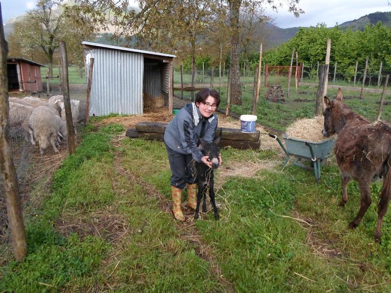 Azienda Agrituristica Pericle image