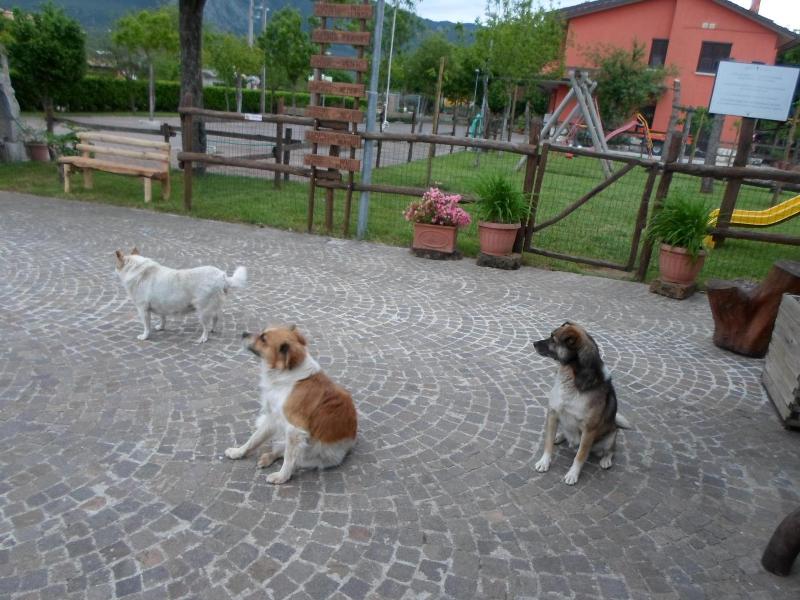 Azienda Agrituristica Pericle image