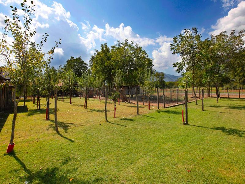 Azienda Agrituristica Pericle image