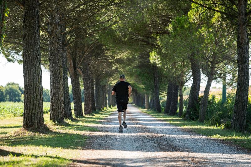 Agriturismo Ai Due Leoni image