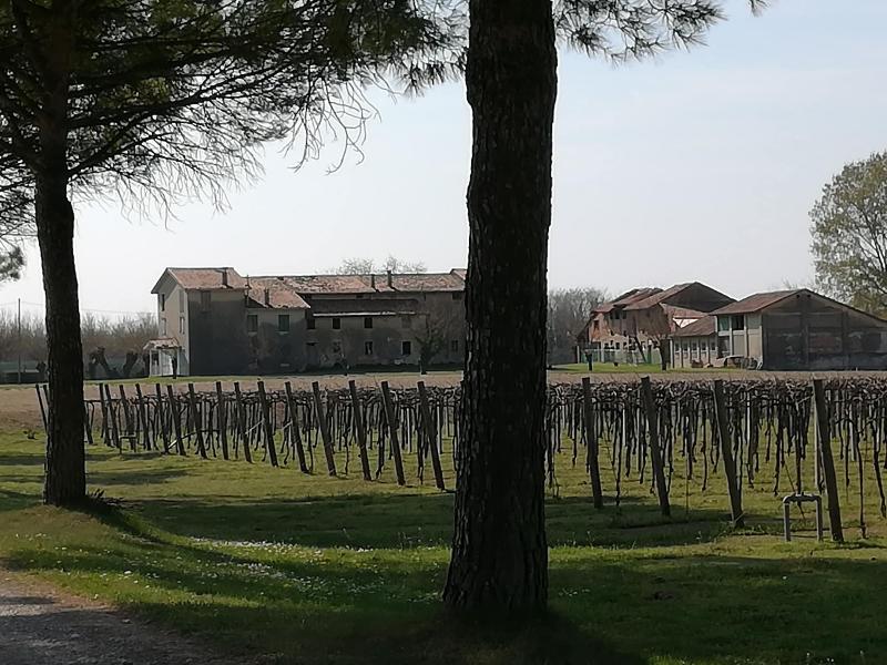 Agriturismo Ai Due Leoni image