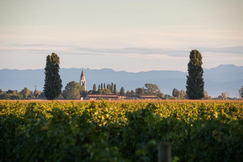 Agriturismo Ai Due Leoni image