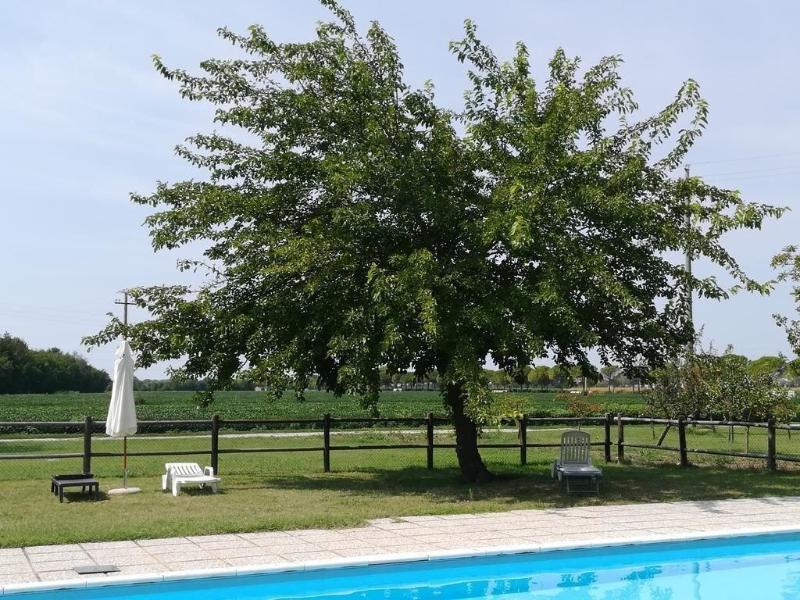 Agriturismo Ai Due Leoni image