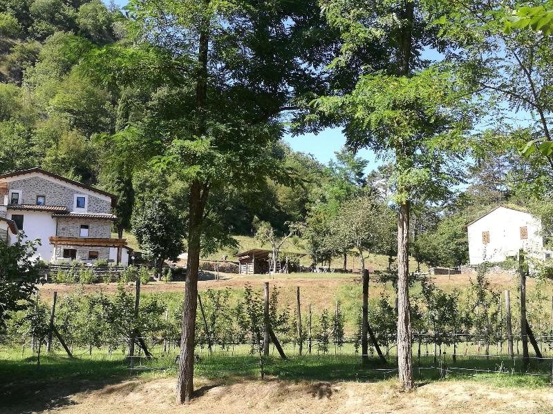 Agriturismo Di LÃ  dall'Acqua image