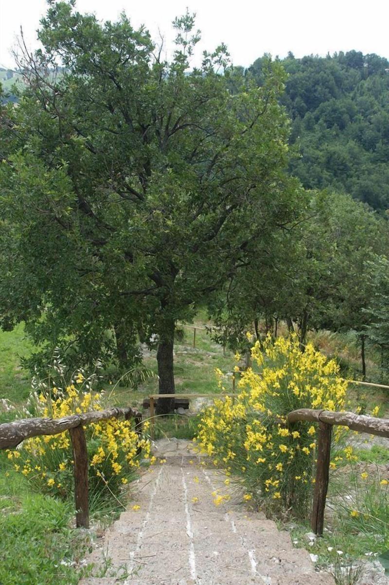 Agriturismo Il Boschetto image