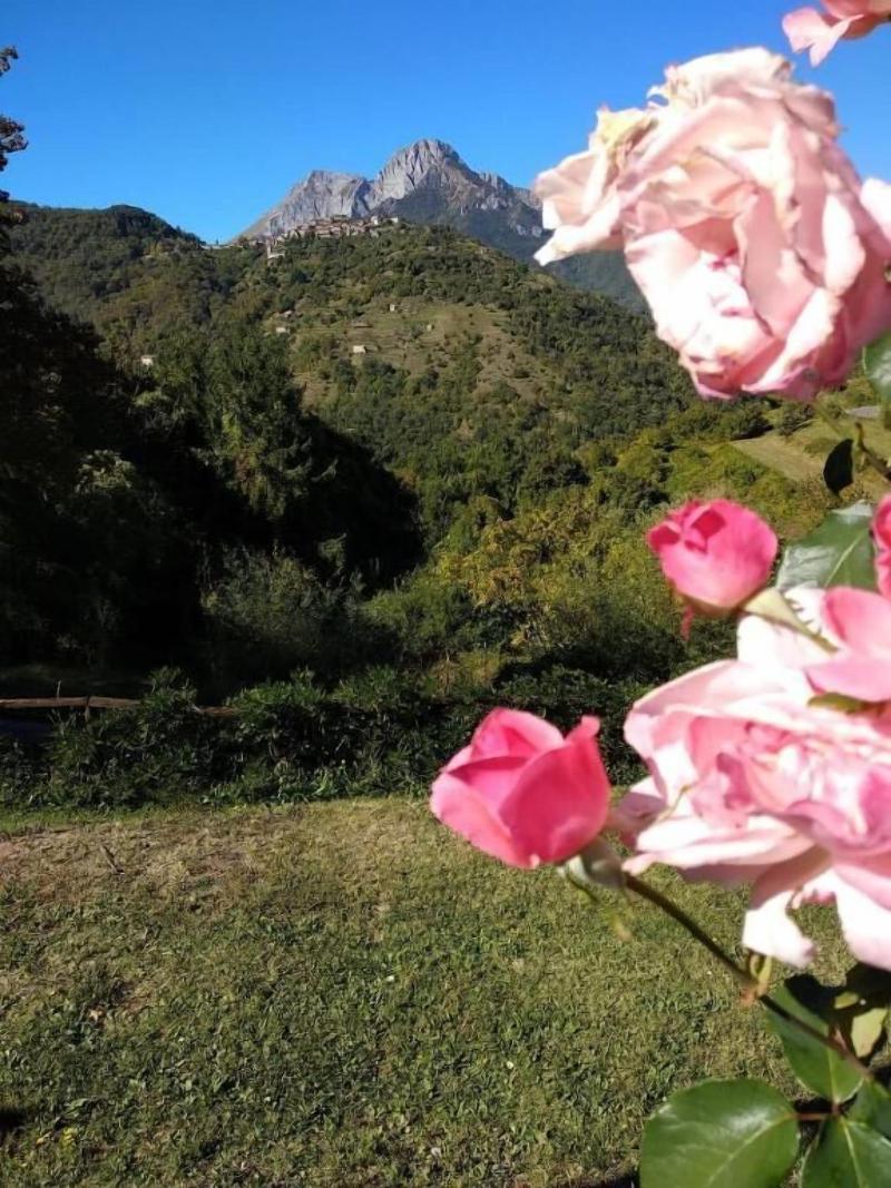 Agriturismo Summer image