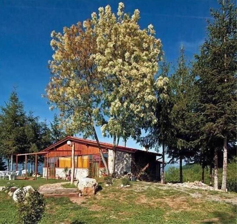 Agriturismo Summer image