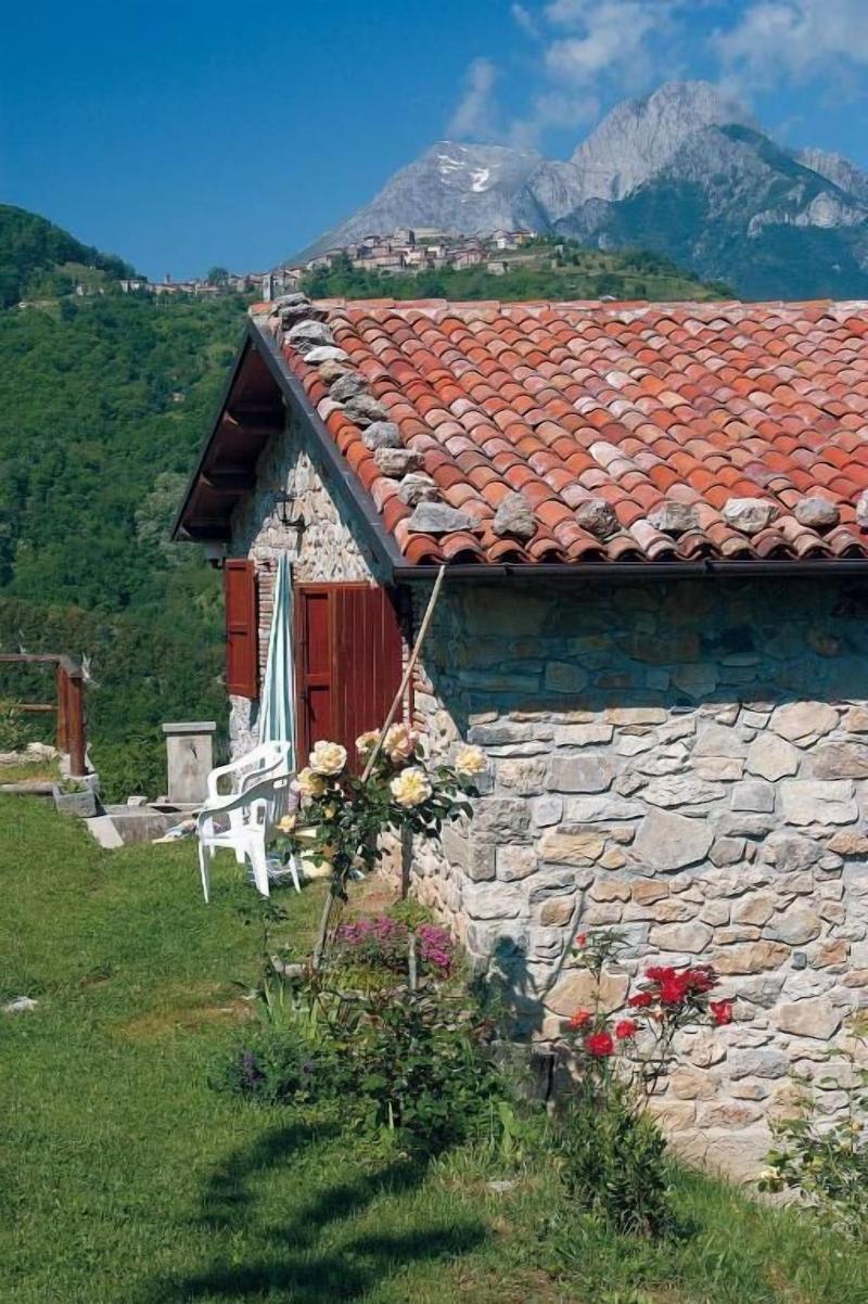 Agriturismo Summer image