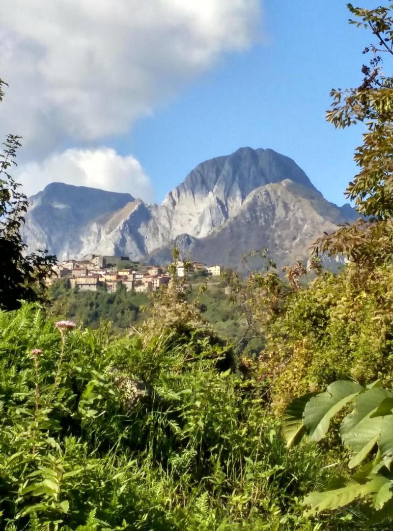 Agriturismo Summer image
