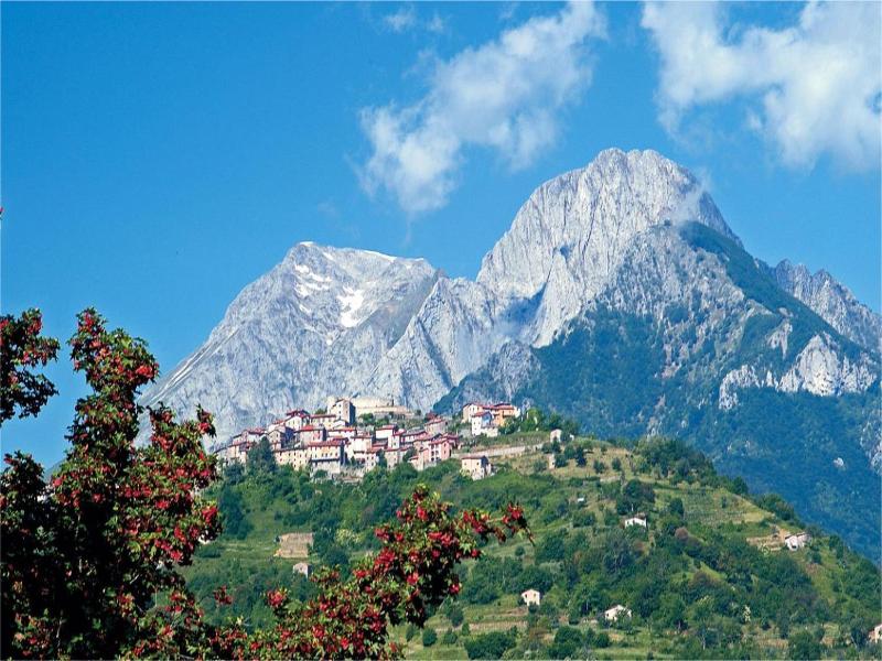 Agriturismo Summer — general view