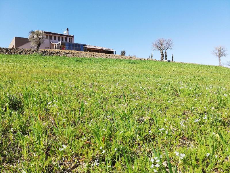 Agriturismo Le Piccole Macie image