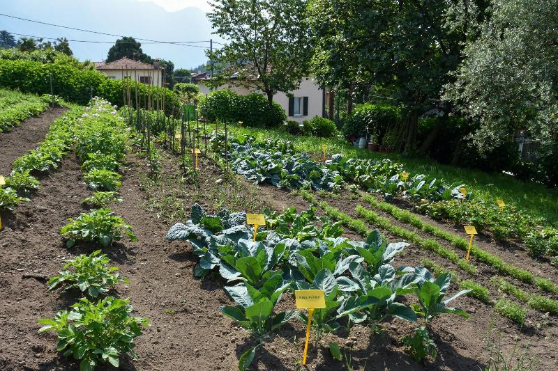 Agriturismo Il Colle image